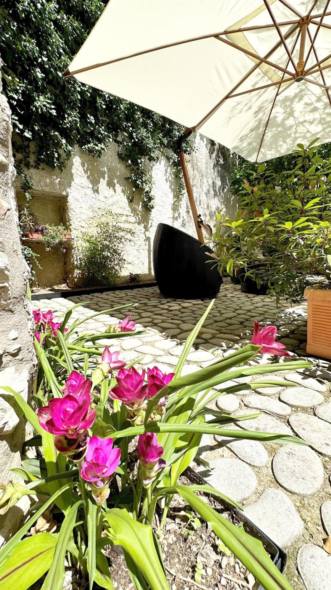 Borgo Dei Sogni Lägenhet San Felice del Benaco Exteriör bild